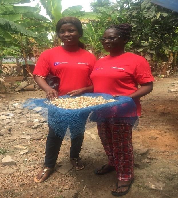 The Success Of Benyglad Mushroom Farm ActionAid Ghana